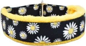 1" Buttercup Daisies Everyday Limited Slip Collar