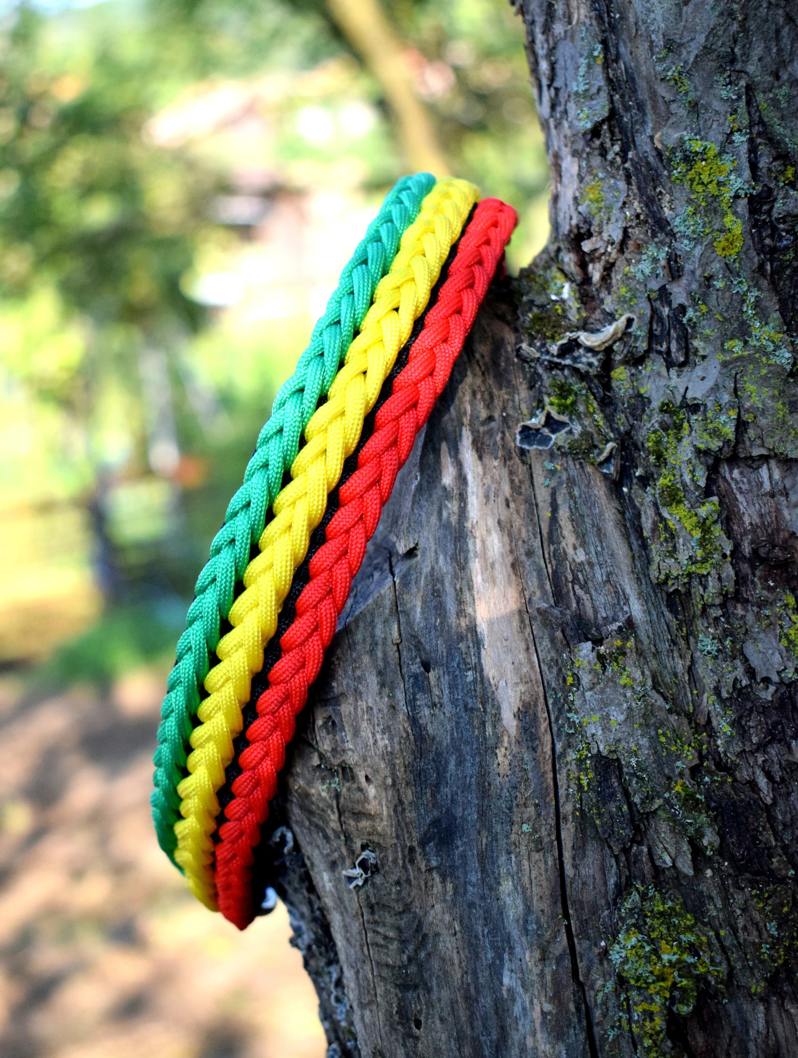 3 Rows braid Dog collar