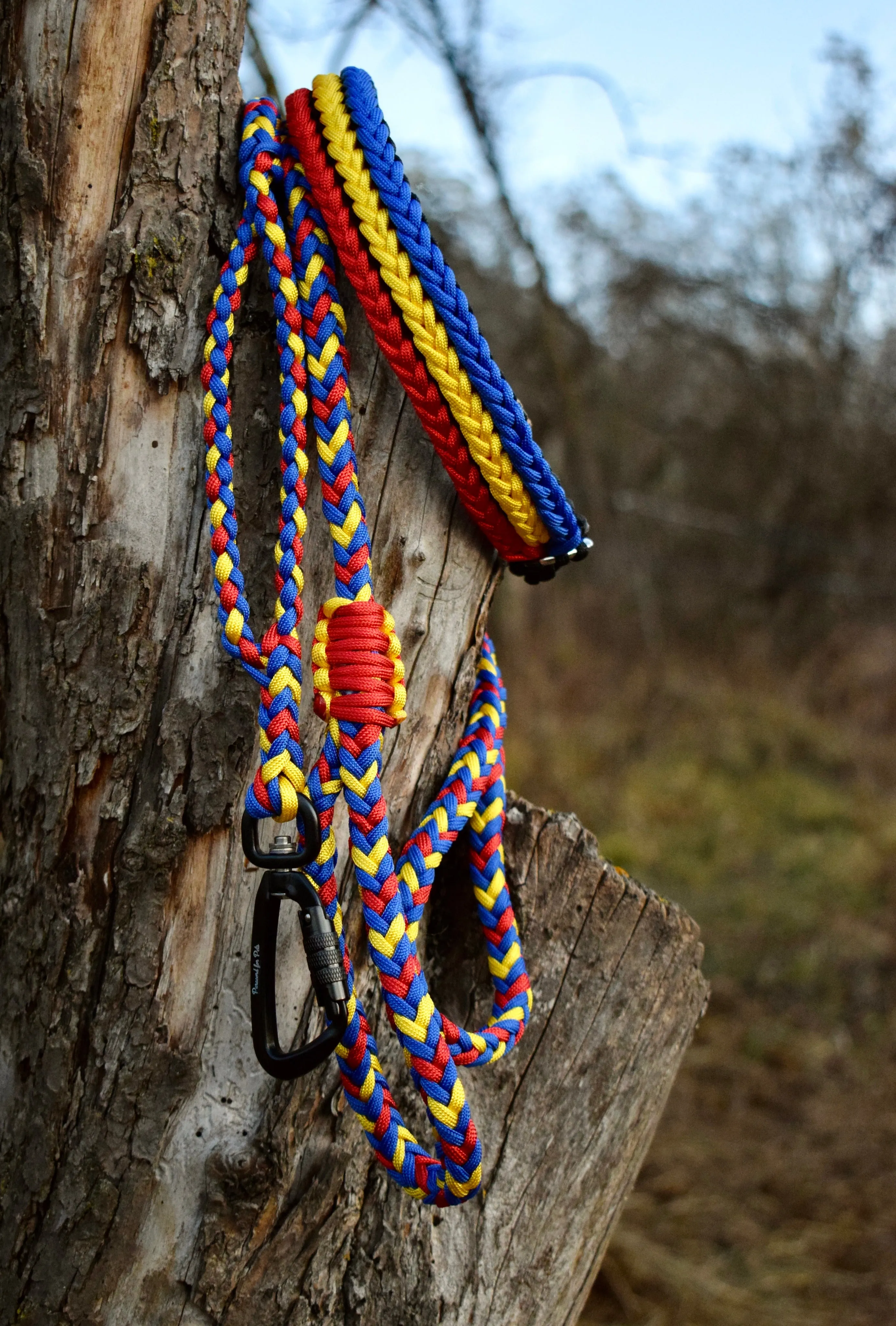 3 Rows braid Dog collar