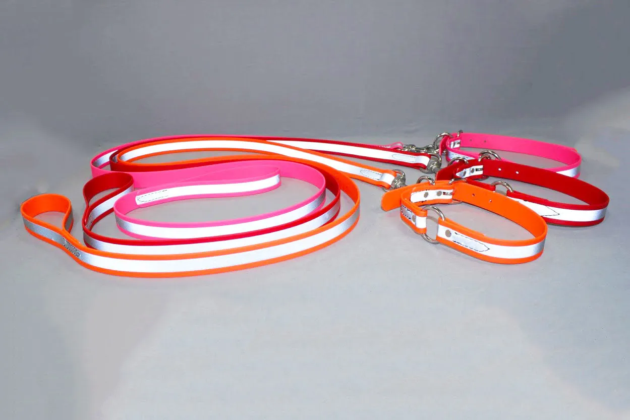 BioThane Reflective Sport Collars