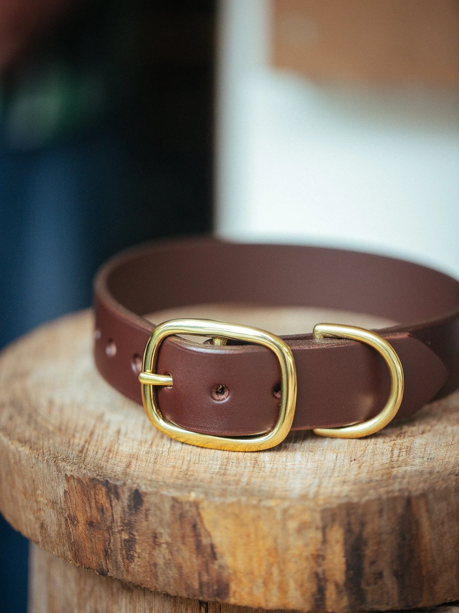 Classic Dog Collar - 38mm - Burgundy