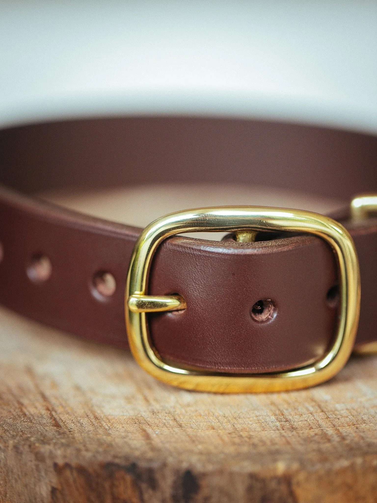 Classic Dog Collar - 38mm - Burgundy