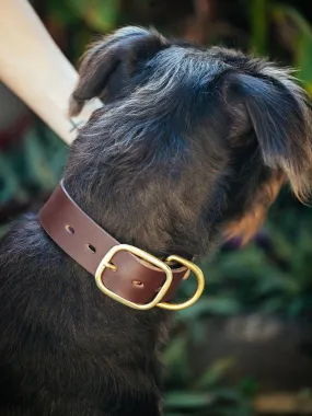 Classic Dog Collar - 38mm - Burgundy