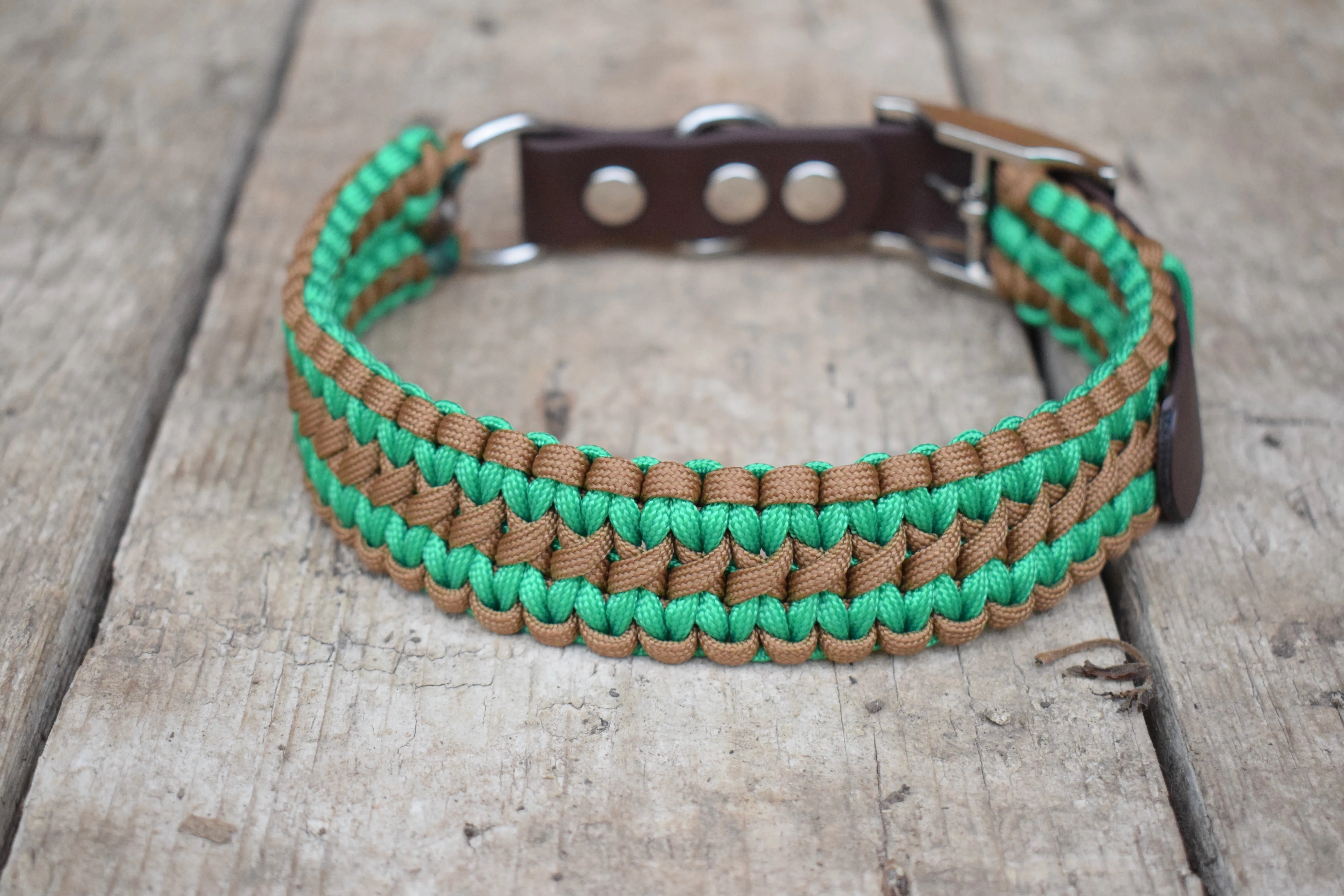 Double Solomon braid Dog collar