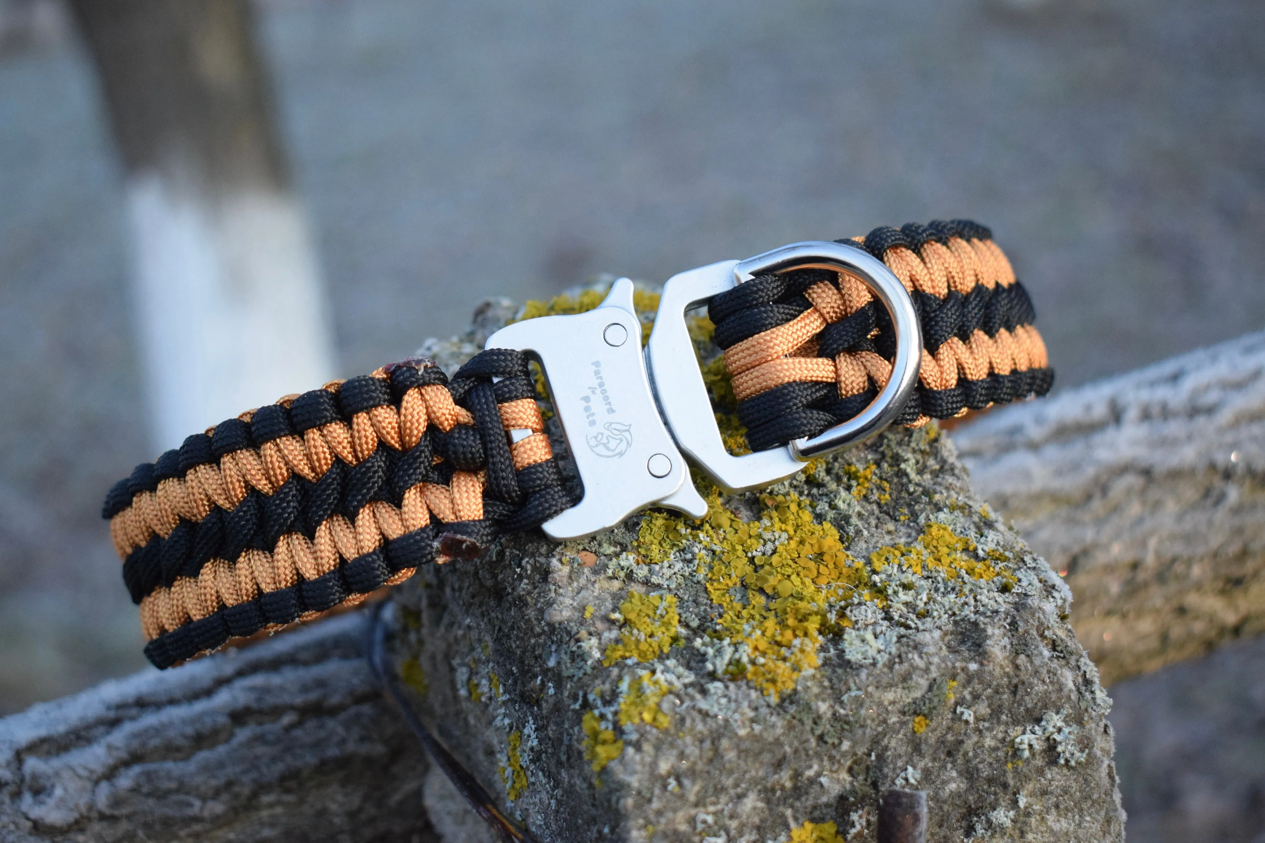 Double Solomon braid Dog collar