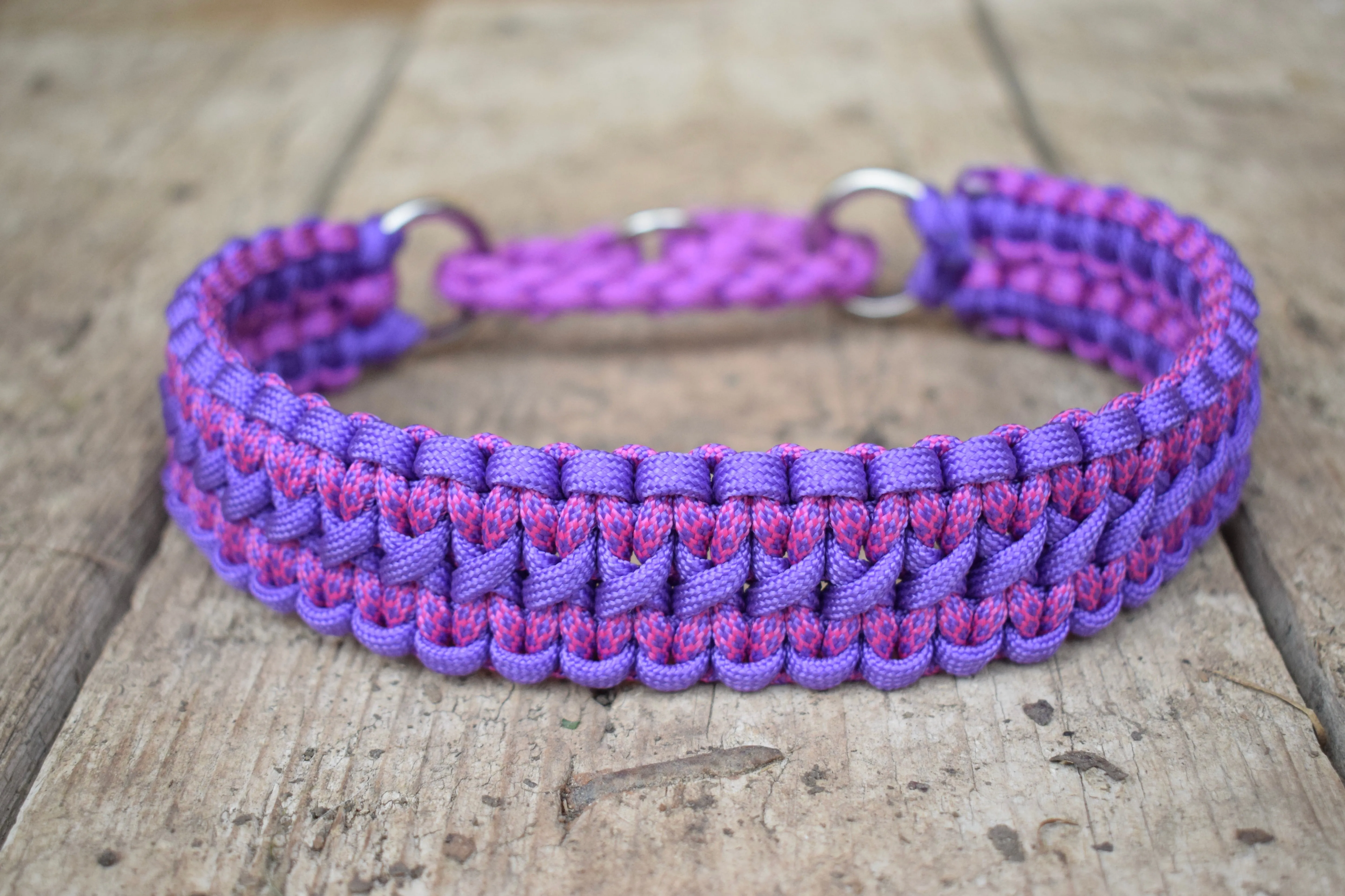 Double Solomon braid Dog collar