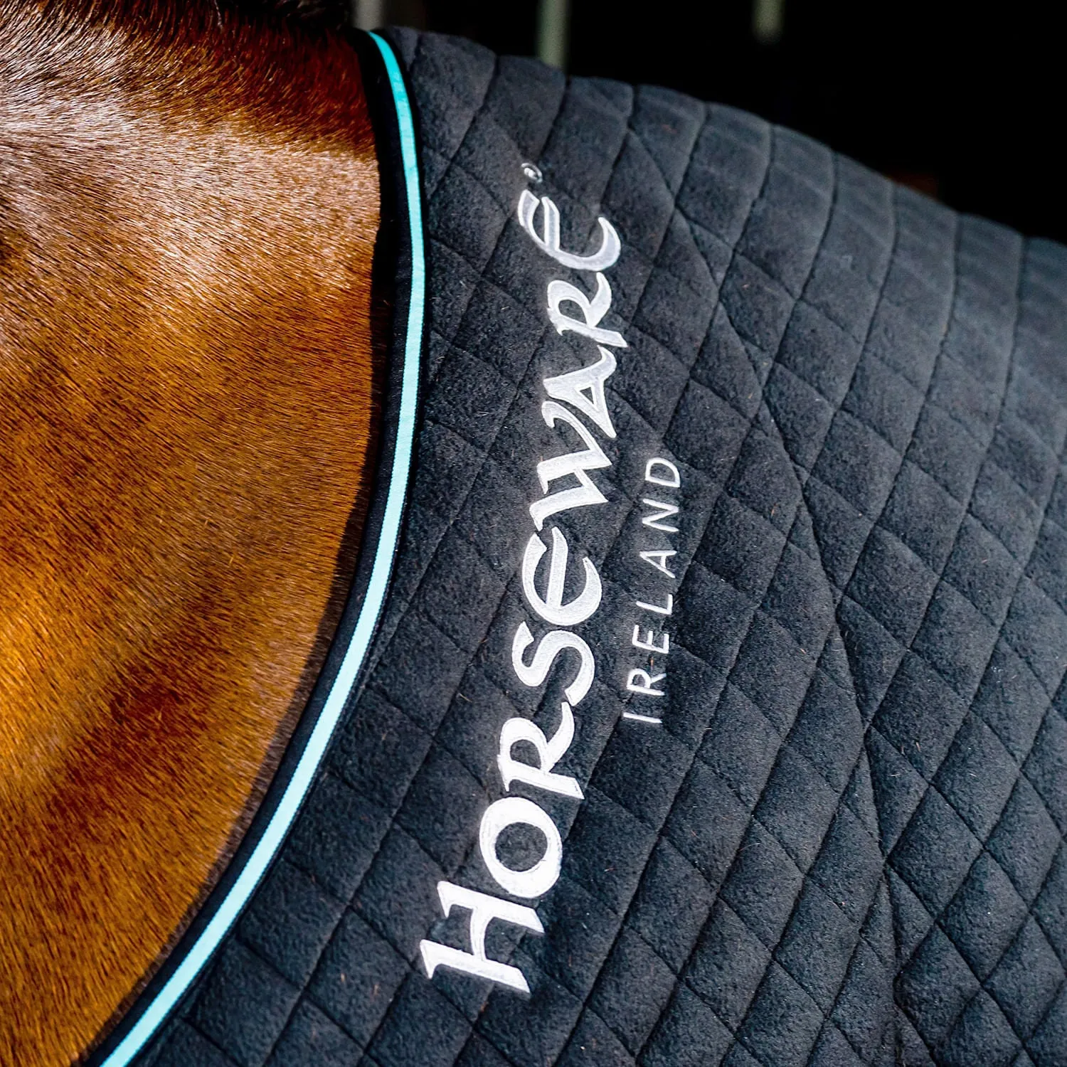 Horseware Autumn Cooler, Black/Aqua