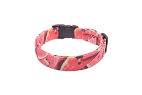 Pink Watermelon Dog Collar