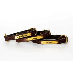 Premium Dog Collar for Small Dogs