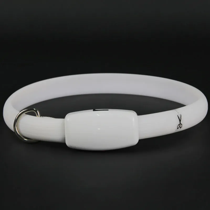Rechargeable Collar Pet Supplies Luminous Leisure Dog Walking Leash / Collar recargable para mascotas, correa luminosa para pasear perros y actividades al aire libre
