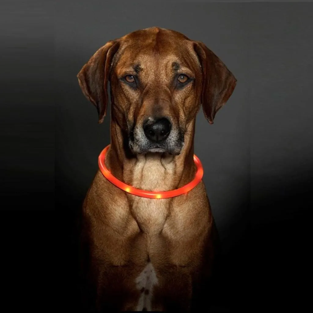 VISIO LED Light Collar